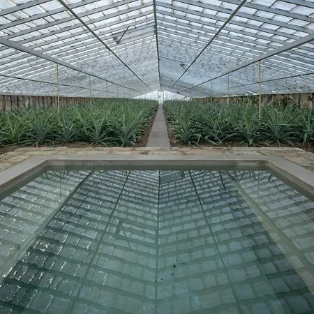 ホテル Senhora Da Rosa, Tradition & Nature ポンタ・デルガダ